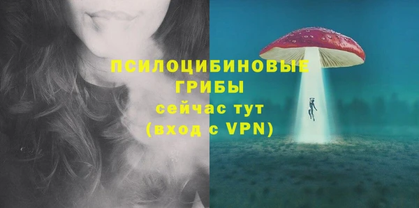 MDMA Premium VHQ Бородино